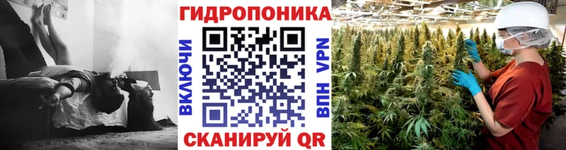 НБОМе Грозный