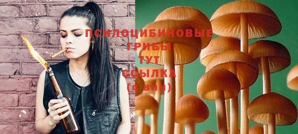 spice Вязники