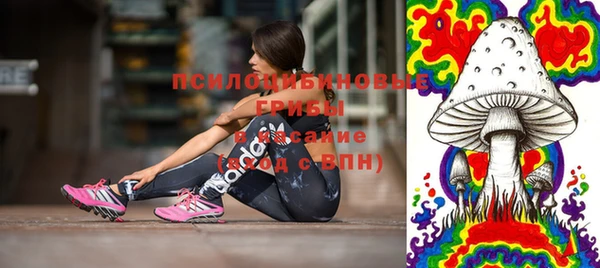 spice Вязники