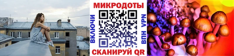 Псилоцибиновые грибы Psilocybine cubensis  Купить где  Грозный 